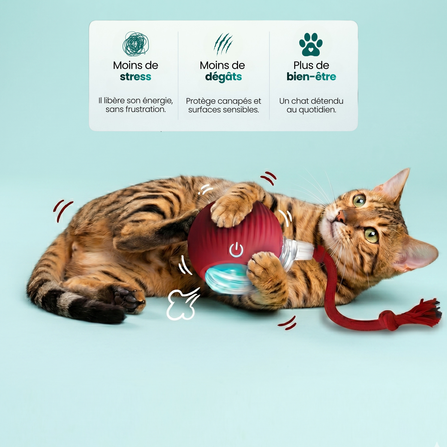 Féligo - Jouet anti-solitude pour chats