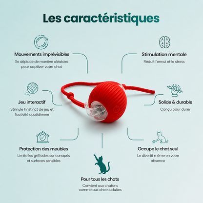 Féligo - Jouet anti-solitude pour chats